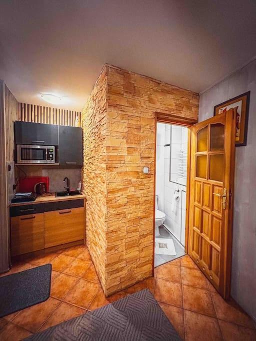 Mieszkanie W Centrum Zakopane Dış mekan fotoğraf